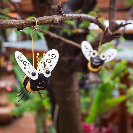 Pao Come Boutique House (Adults Only) Chiang Mai Exteriör bild